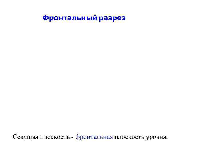 Фронтальный разрез Секущая плоскость - фронтальная плоскость уровня. 