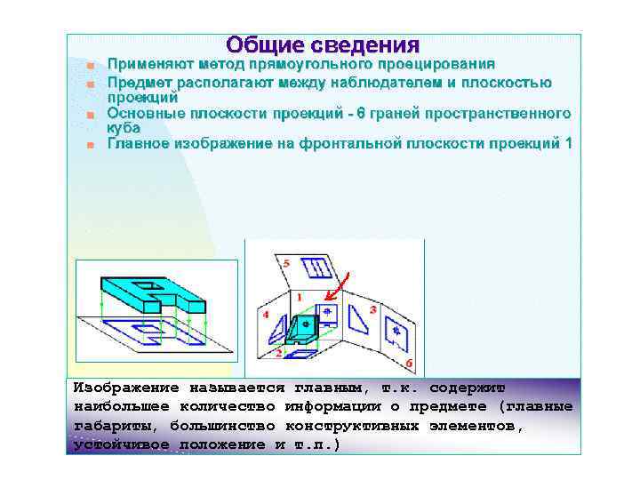 Изображение называется главным, т. к. содержит наибольшее количество информации о предмете (главные габариты, большинство