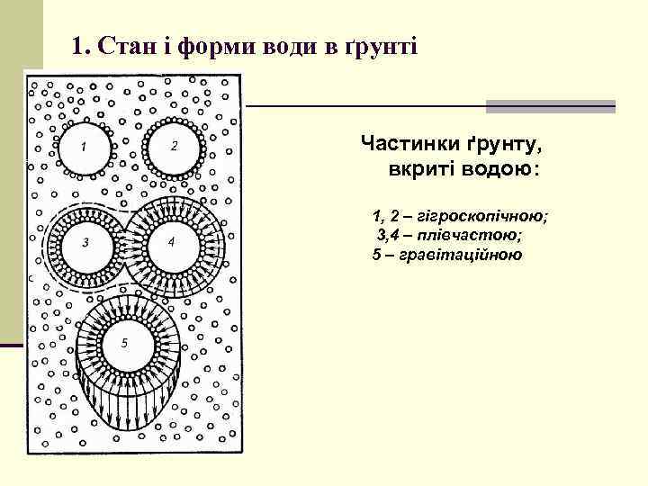 1. Стан і форми води в ґрунті Частинки ґрунту, вкриті водою: 1, 2 –