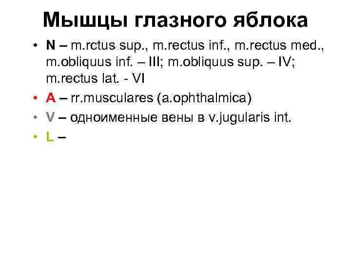Мышцы глазного яблока • N – m. rctus sup. , m. rectus inf. ,