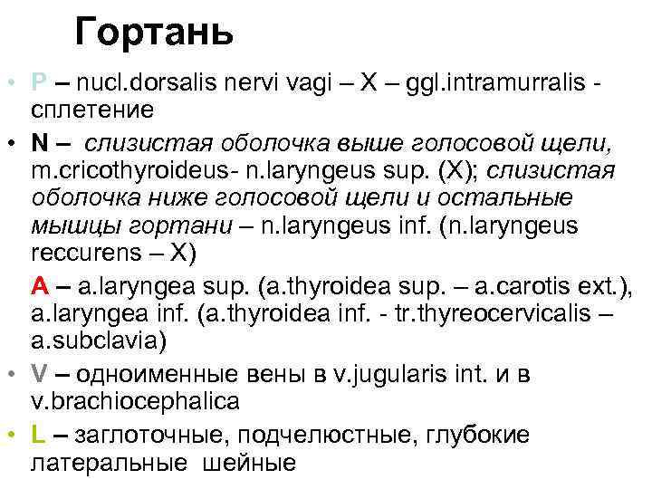 Гортань • P – nucl. dorsalis nervi vagi – X – ggl. intramurralis сплетение