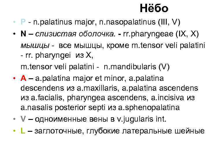 Нёбо • P - n. palatinus major, n. nasopalatinus (III, V) • N –