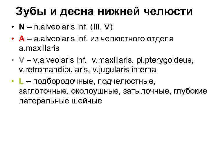 Зубы и десна нижней челюсти • N – n. alveolaris inf. (III, V) •