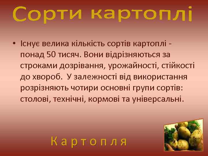  • Існує велика кількість сортів картоплі - понад 50 тисяч. Вони відрізняються за