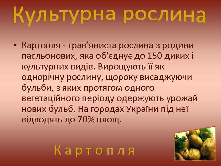  • Картопля - трав’яниста рослина з родини пасльонових, яка об'єднує до 150 диких