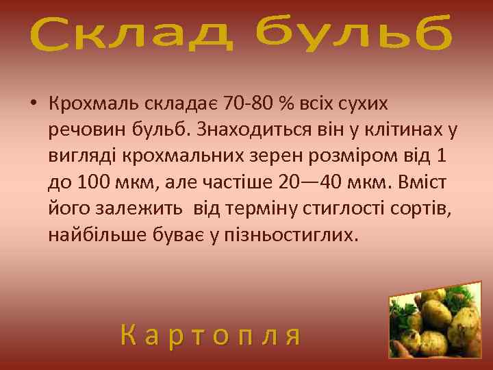  • Крохмаль складає 70 -80 % всіх сухих речовин бульб. Знаходиться він у