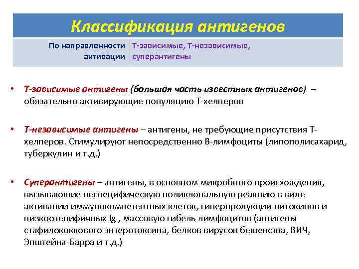 Классификация антигенов По направленности Т-зависимые, Т-независимые, активации суперантигены • Т-зависимые антигены (большая часть известных