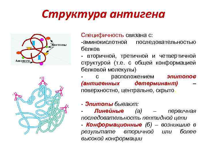 При нарушении третичной и четвертичной структуры