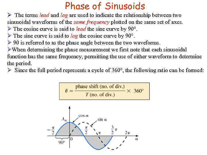 Phase of Sinusoids Ø The terms lead and lag are used to indicate the