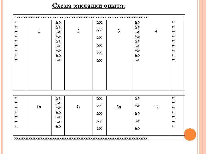 Схема закладки опыта. Ххххххххххххххххххххххххххххххххххххххх ** ** ** ** 1 1 а && && &&