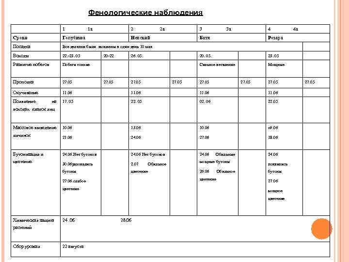 Фенологические наблюдения 1 1 а 2 2 а 3 4 Сроки Голубизна Посадка Всходы