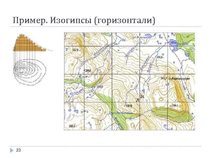 Пример. Изогипсы (горизонтали) 23 