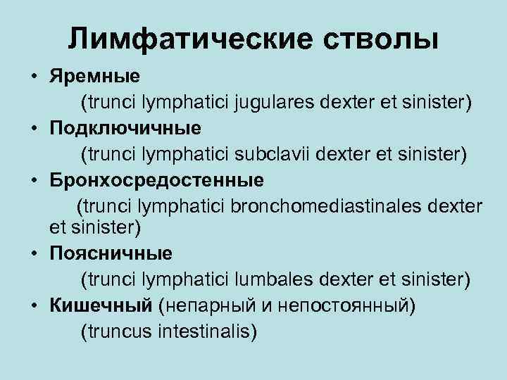 Лимфатические стволы • Яремные (trunci lymphatici jugulares dехter et sinister) • Подключичные (trunci lymphatici