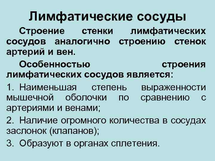 Лимфатические сосуды Строение стенки лимфатических сосудов аналогично строению стенок артерий и вен. Особенностью строения