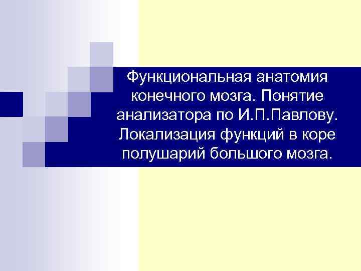 Функциональная анатомия конечного мозга. Понятие анализатора по И. П. Павлову. Локализация функций в коре