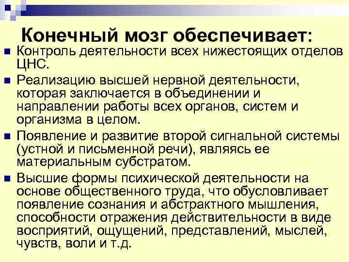 Конечный мозг обеспечивает: n n Контроль деятельности всех нижестоящих отделов ЦНС. Реализацию высшей нервной