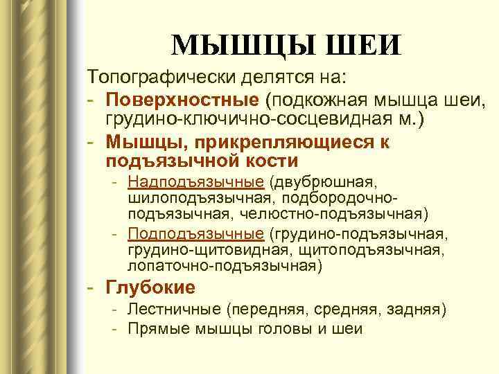 МЫШЦЫ ШЕИ Топографически делятся на: - Поверхностные (подкожная мышца шеи, грудино-ключично-сосцевидная м. ) -