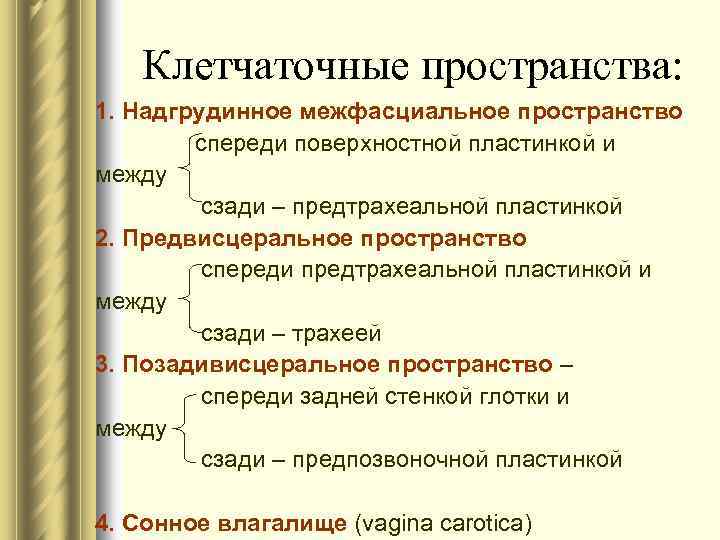 Клетчаточные пространства: 1. Надгрудинное межфасциальное пространство спереди поверхностной пластинкой и между сзади – предтрахеальной