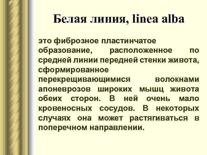 Белая линия, linea alba это фиброзное пластинчатое образование, расположенное по средней линии передней стенки