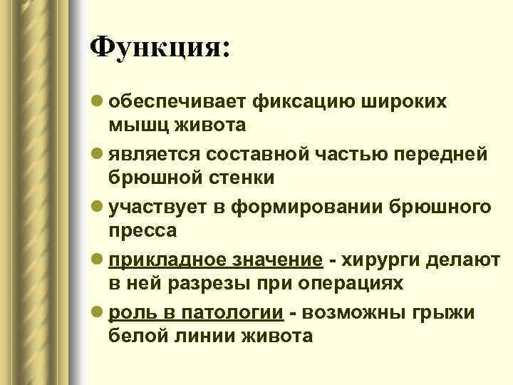 Функция: l обеспечивает фиксацию широких мышц живота l является составной частью передней брюшной стенки