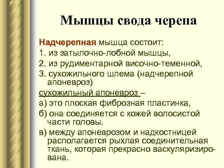 Мышцы свода черепа Надчерепная мышца состоит: 1. из затылочно-лобной мышцы, 2. из рудиментарной височно-теменной,