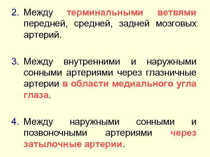 2. Между терминальными ветвями передней, средней, задней мозговых артерий. 3. Между внутренними и наружными