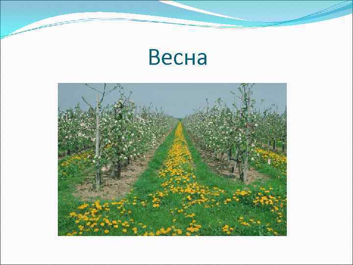 Весна 