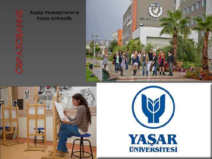 ОБРАЗОВАНИЕ Яшар Университета Yasar University 