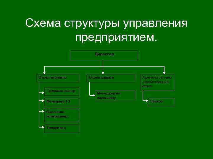 Схема структуры управления предприятием. Директор Отдел торговли Продавец кассир Менеджер ТЗ Охранникконтроллер Товаровед Отдел