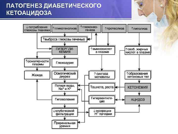 ПАТОГЕНЕЗ ДИАБЕТИЧЕСКОГО КЕТОАЦИДОЗА 33 