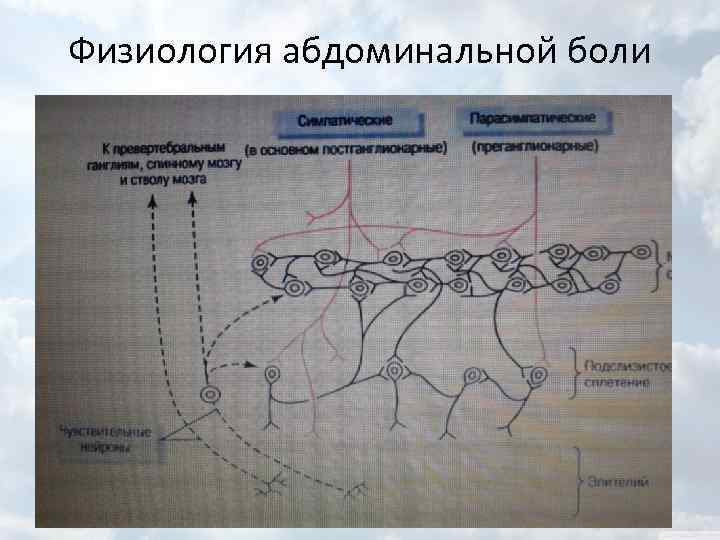 Физиология абдоминальной боли 