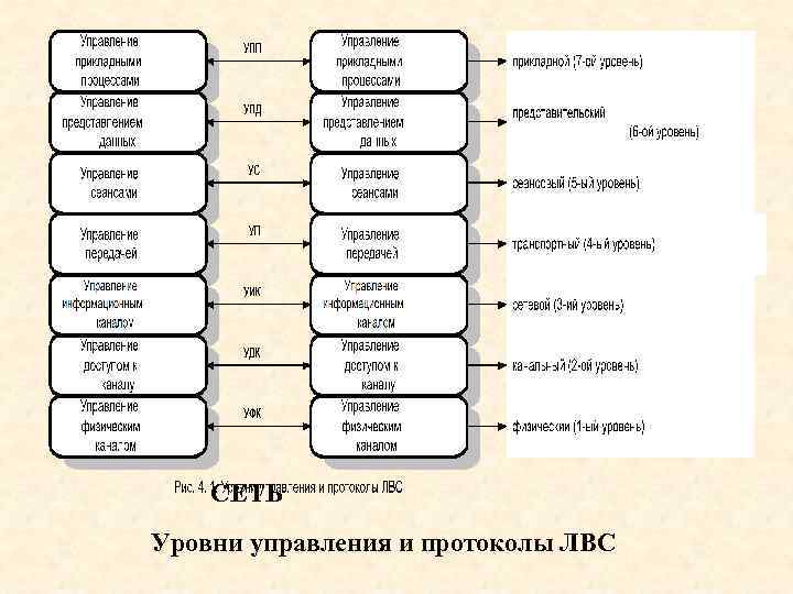 СЕТЬ Уровни управления и протоколы ЛВС 