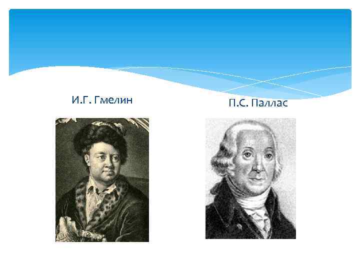 И. Г. Гмелин П. С. Паллас 