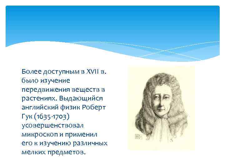 Более доступным в XVII в. было изучение передвижения веществ в растениях. Выдающийся английский физик