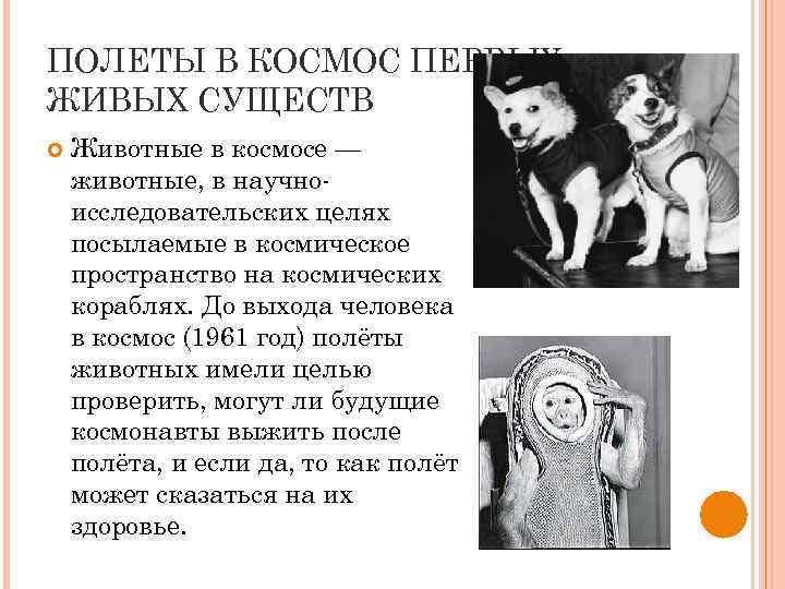 ПОЛЕТЫ В КОСМОС ПЕРВЫХ ЖИВЫХ СУЩЕСТВ Животные в космосе — животные, в научноисследовательских целях