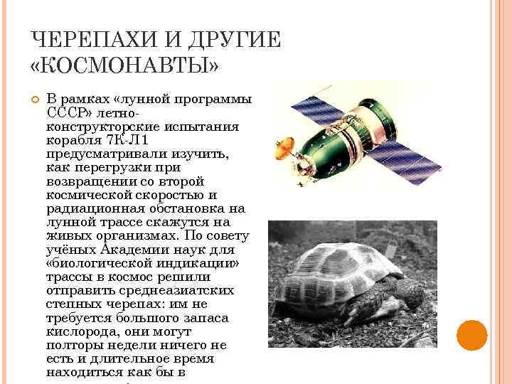 ЧЕРЕПАХИ И ДРУГИЕ «КОСМОНАВТЫ» В рамках «лунной программы СССР» летноконструкторские испытания корабля 7 К-Л