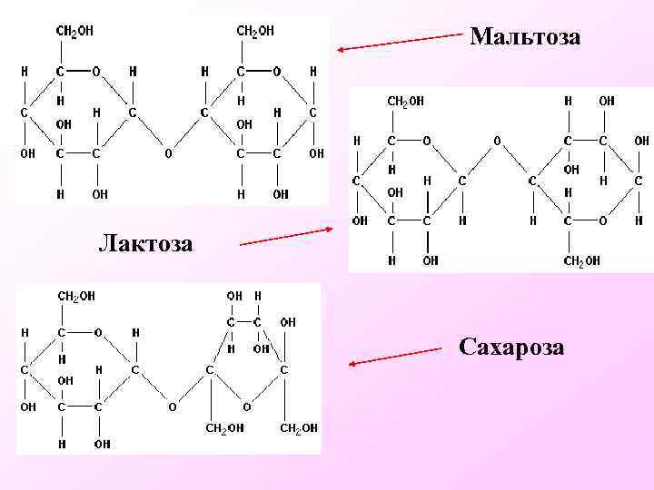 Мальтоза Лактоза Сахароза 