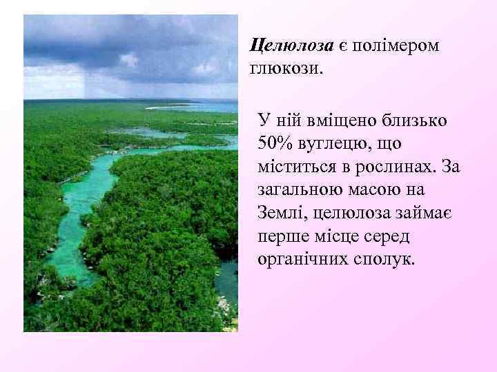 Целюлоза є полімером глюкози. У ній вміщено близько 50% вуглецю, що міститься в рослинах.