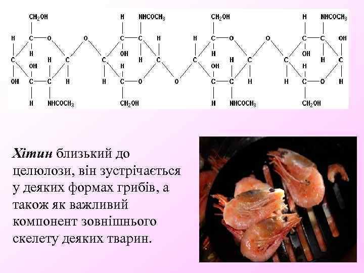 Хітин близький до целюлози, він зустрічається у деяких формах грибів, а також як важливий