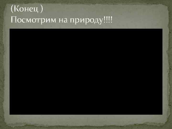 (Конец ) Посмотрим на природу!!!! 