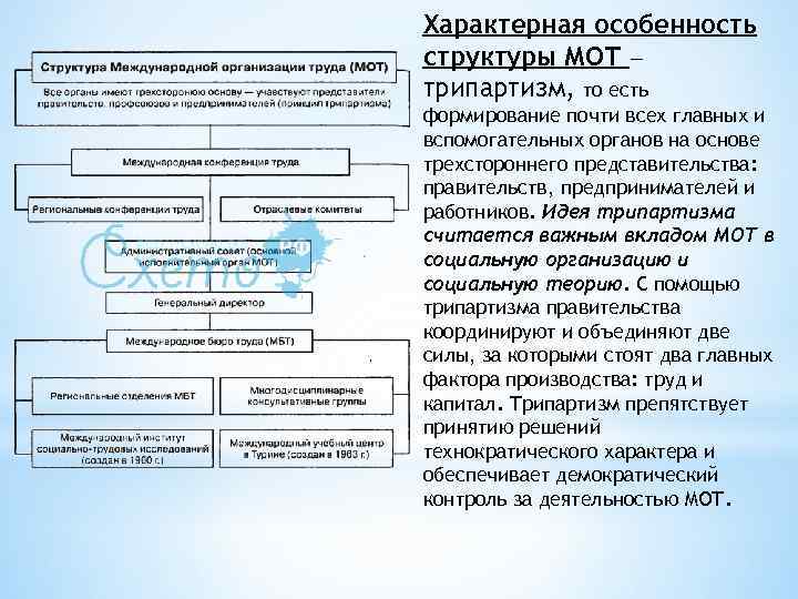 Характерная особенность структуры МОТ — трипартизм, то есть формирование почти всех главных и вспомогательных