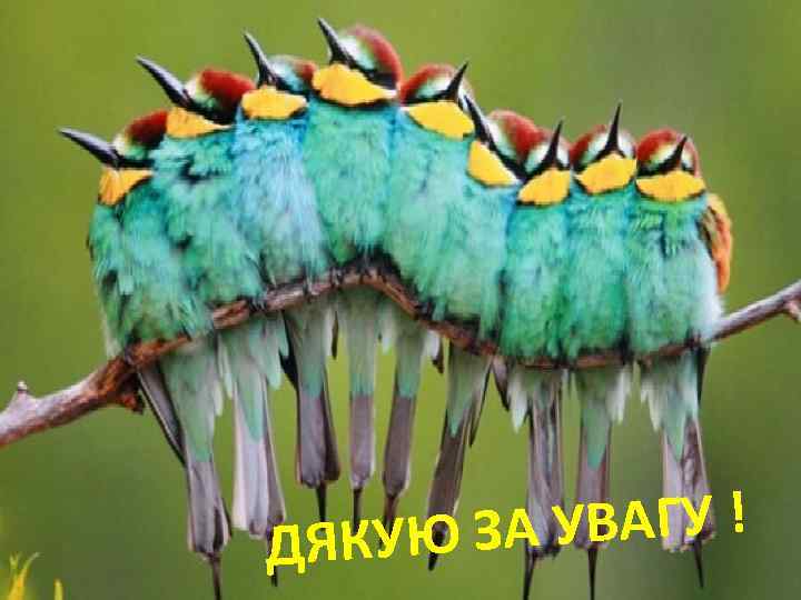  УВАГУ ! ЯКУЮ ЗА Д 