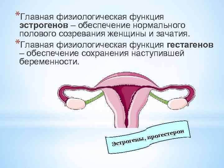*Главная физиологическая функция эстрогенов – обеспечение нормального полового созревания женщины и зачатия. *Главная физиологическая