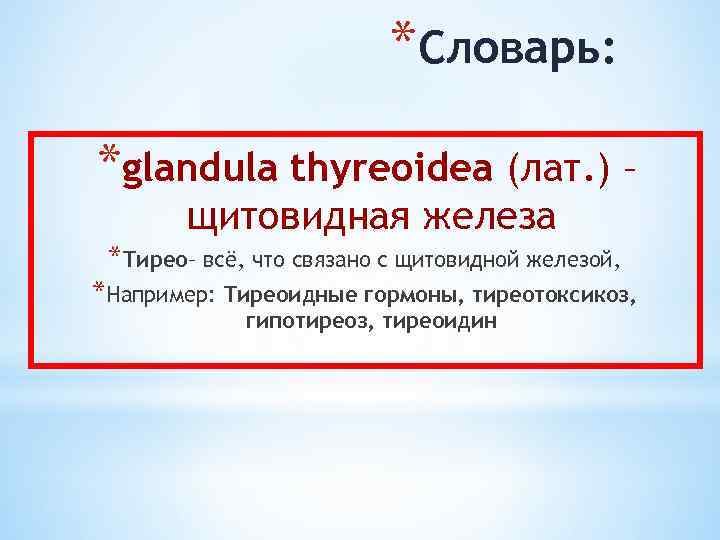 *Словарь: *glandula thyreoidea (лат. ) – щитовидная железа *Тирео– всё, что связано с щитовидной