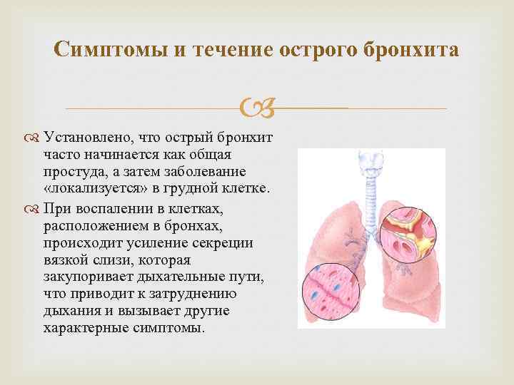 Симптомы и течение острого бронхита Установлено, что острый бронхит часто начинается как общая простуда,