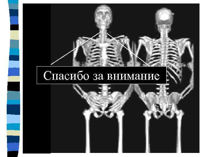 Спасибо за внимание 