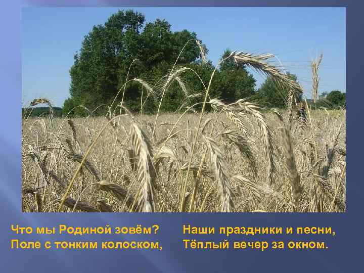 Что мы Родиной зовём? Поле с тонким колоском, Наши праздники и песни, Тёплый вечер