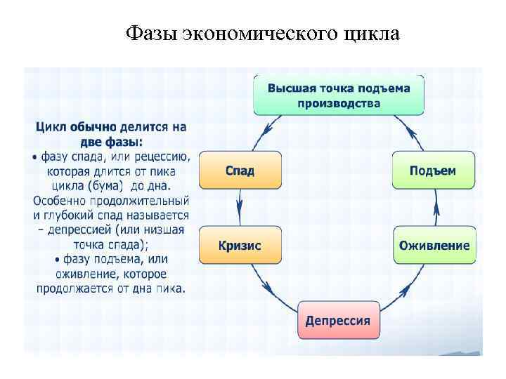 Фазы экономического цикла 