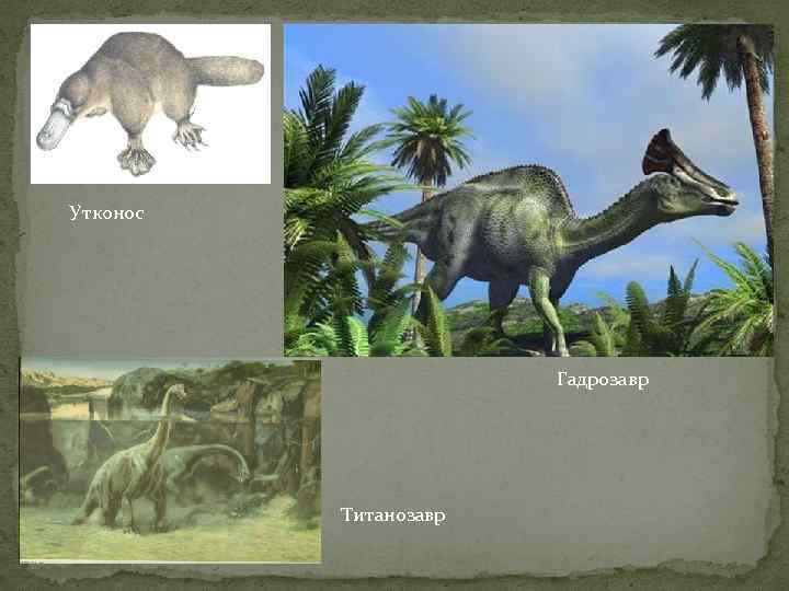 Утконос Гадрозавр Титанозавр 