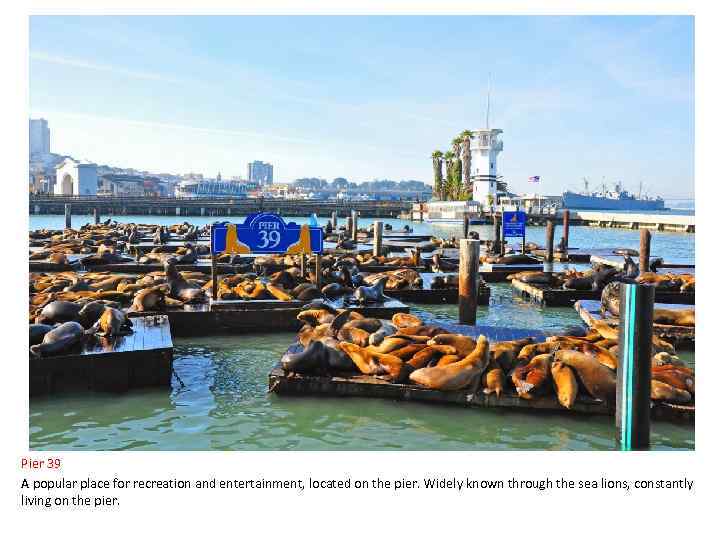 Pier 39 A popular place for recreation and entertainment, located on the pier. Widely